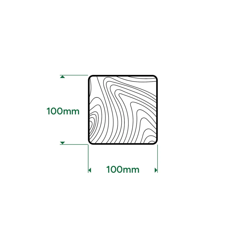 100x100z.jpg