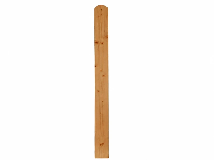 modrzew_wzor_2.png